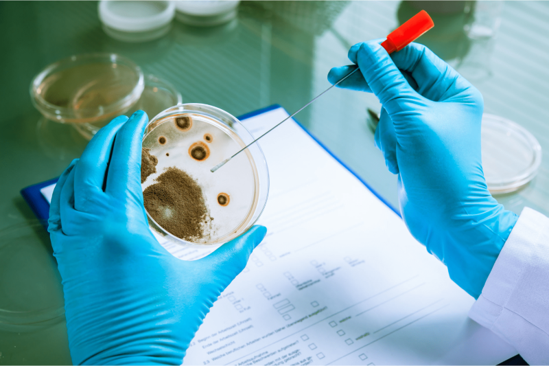 Listeria: prevención y control en la industria alimentaria