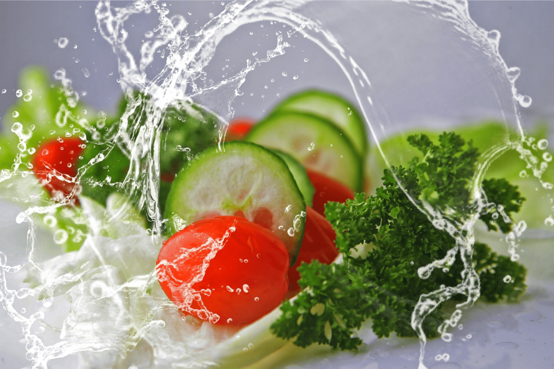 Curso Manipulación de Alimentos en Salas Frías